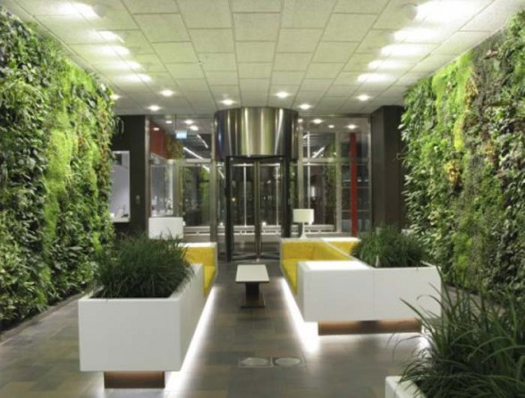 indoor-garden-plants-interiors-living-587x446