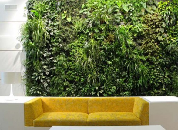 vertical-indoor-garden-plants-ideas-587x429